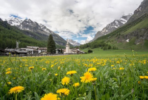 Отель Case Gran Paradiso Rhemes Notre Dame, Шодан